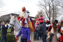 20151128-Plaswijckpark-(13)