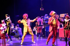 Sinterklaas-grote-theatershow-7
